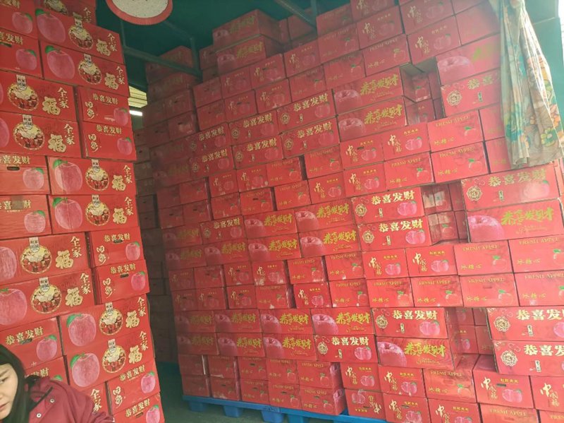 宁夏批发零售：拥抱变化，共享机遇